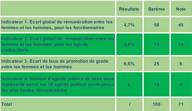 Tableau de l'Index de l'égalité professionnelle Département 43